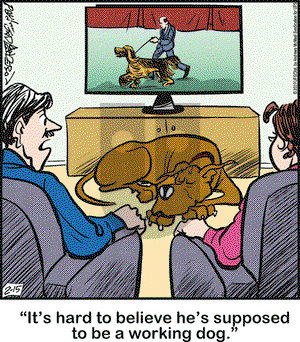 Marmaduke on Friday February 15, 2019 Comic Strip