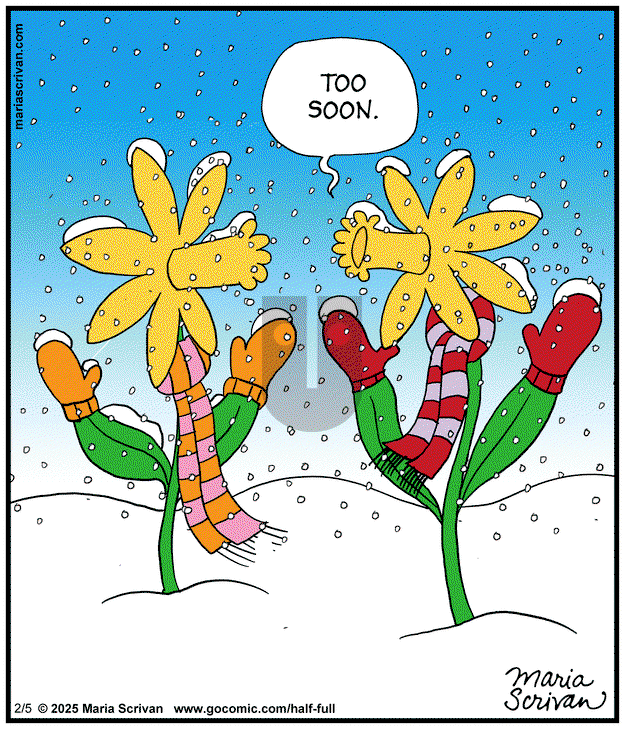Half Full on Wednesday February 5, 2025 Comic Strip