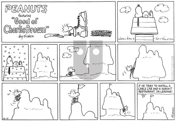 Peanuts on Sunday December 16, 1973 Comic Strip