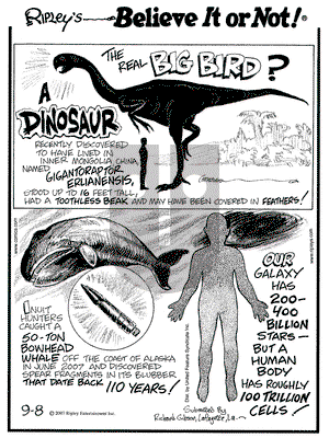 Ripley's Believe It or Not on Saturday September 8, 2007 Comic Strip