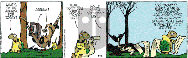 Over the Hedge on Friday January 2, 2009 Comic Strip
