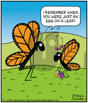 Half Full - Monday June 1, 2015 Comic Strip