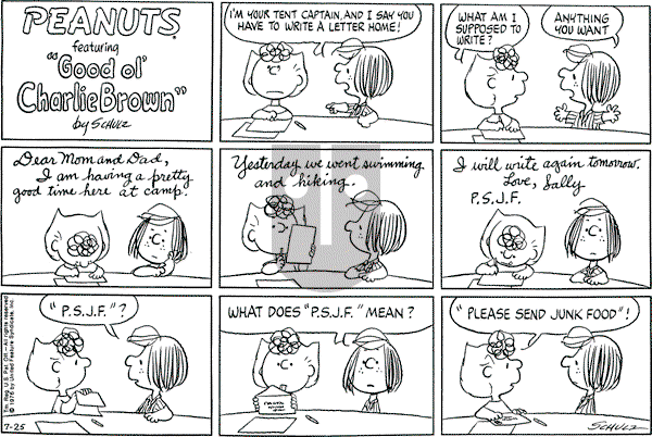 Peanuts - Sunday July 25, 1976 Comic Strip
