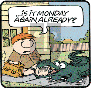 Ziggy on Monday December 19, 2011 Comic Strip