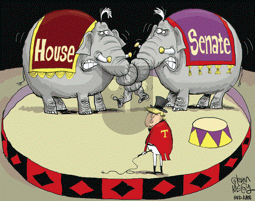 Glenn McCoy on Wednesday August 2, 2017 Comic Strip