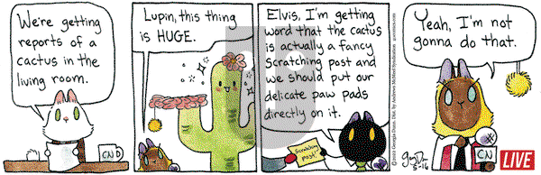 Breaking Cat News - Monday May 16, 2022 Comic Strip