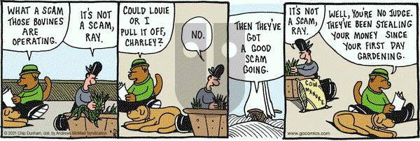 Overboard on Friday August 13, 2021 Comic Strip