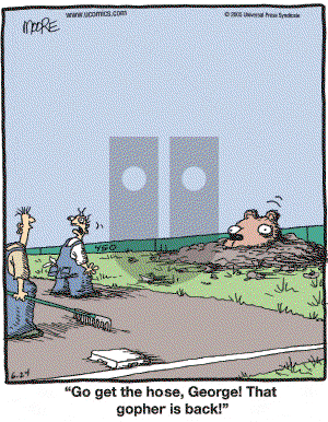 In the Bleachers - Friday June 24, 2005 Comic Strip