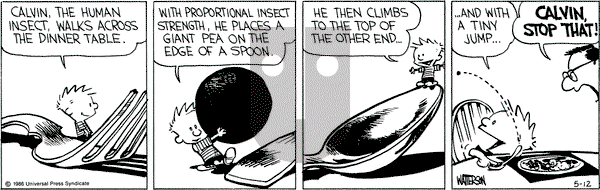Calvin and Hobbes on Monday May 12, 1986 Comic Strip