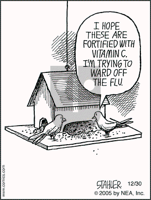 Moderately Confused on Friday December 30, 2005 Comic Strip