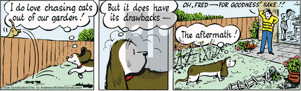 Fred Basset on Wednesday November 7, 2018 Comic Strip