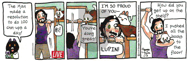 Breaking Cat News on Wednesday January 3, 2018 Comic Strip