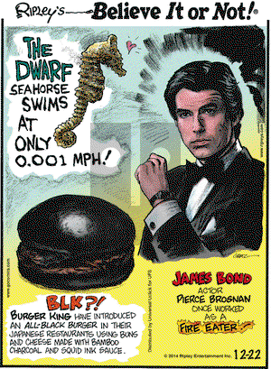 Ripley's Believe It or Not on Monday December 22, 2014 Comic Strip