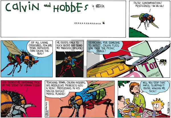 Calvin and Hobbes on Sunday May 29, 1988 Comic Strip