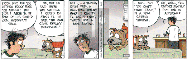 Get Fuzzy on Tuesday August 11, 2009 Comic Strip