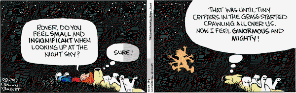 Red and Rover on Tuesday July 12, 2016 Comic Strip