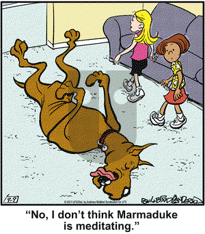 Marmaduke on Thursday September 9, 2021 Comic Strip