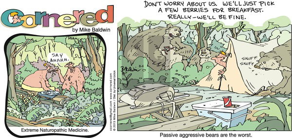 Cornered on Sunday August 4, 2013 Comic Strip