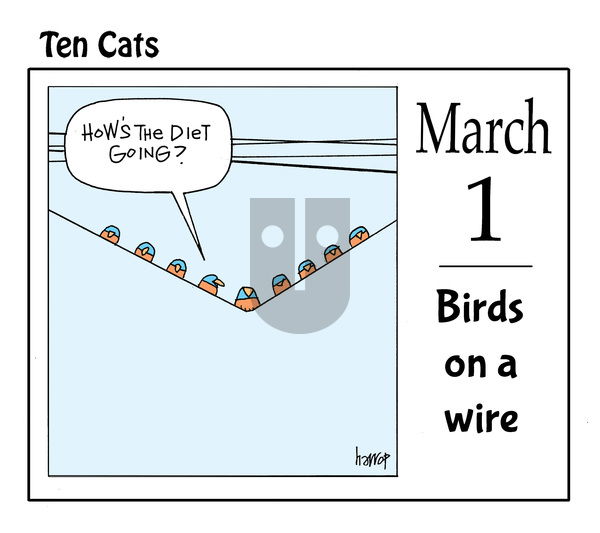Ten Cats on Saturday March 1, 2025 Comic Strip
