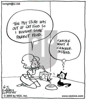 Kit 'N' Carlyle on Thursday June 2, 2005 Comic Strip