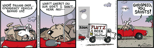 DeFlocked on Tuesday May 21, 2013 Comic Strip