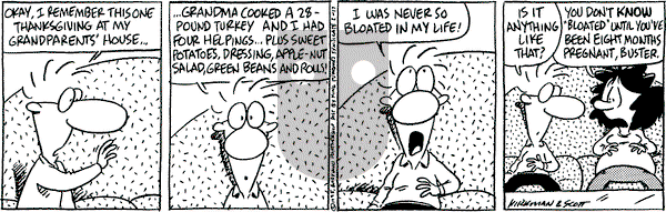 Baby Blues on Friday February 17, 1995 Comic Strip