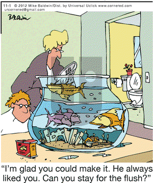 Cornered on Thursday November 1, 2012 Comic Strip