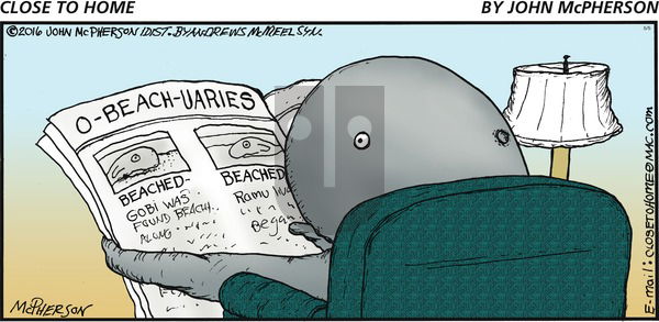 Close to Home on Sunday May 5, 2024 Comic Strip