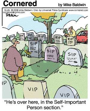 Cornered - Wednesday October 29, 2008 Comic Strip