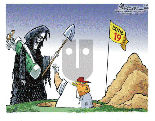 Stuart Carlson on Wednesday November 18, 2020 Comic Strip