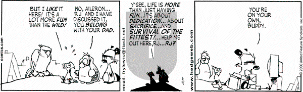 Over the Hedge on Friday June 9, 2000 Comic Strip