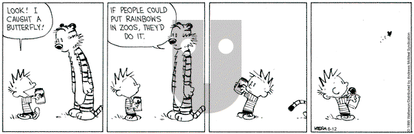 Calvin and Hobbes on Thursday June 12, 2025 Comic Strip