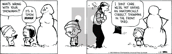 Calvin and Hobbes - Thursday January 14, 1993 Comic Strip