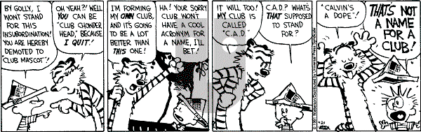 Calvin and Hobbes - Thursday April 25, 1991 Comic Strip