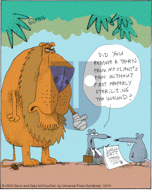 The Flying McCoys on Wednesday October 12, 2005 Comic Strip