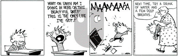 Calvin and Hobbes on Friday May 1, 2015 Comic Strip