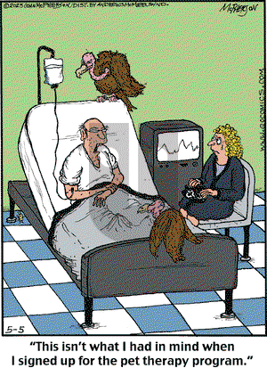 Close to Home on Monday May 5, 2025 Comic Strip