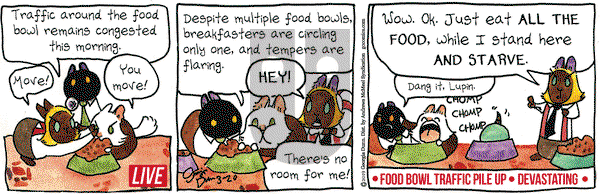 Breaking Cat News on Wednesday March 20, 2019 Comic Strip