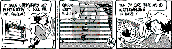 Rose is Rose on Wednesday September 7, 1988 Comic Strip