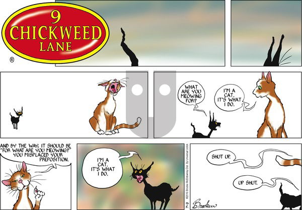 9 Chickweed Lane on Sunday July 3, 2016 Comic Strip