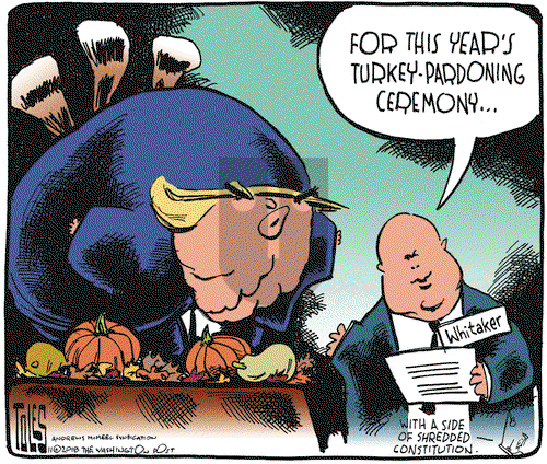 Tom Toles on Thursday November 22, 2018 Comic Strip