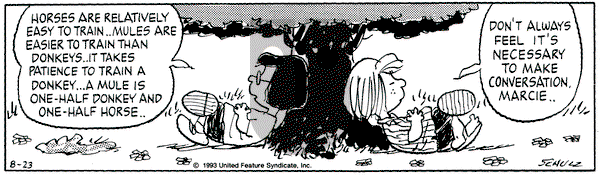 Peanuts on Monday August 23, 1993 Comic Strip