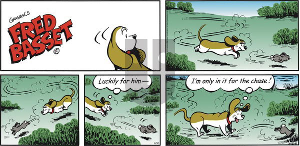 Fred Basset on Sunday June 30, 2019 Comic Strip