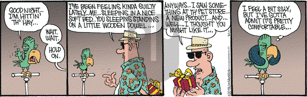 Monty on Thursday September 26, 2019 Comic Strip