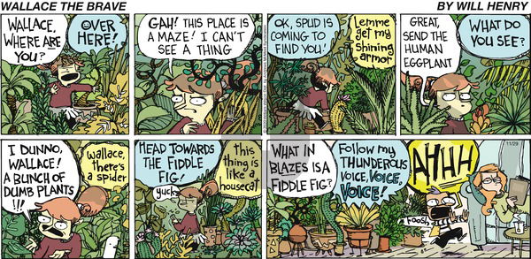 Wallace the Brave on Sunday November 29, 2020 Comic Strip