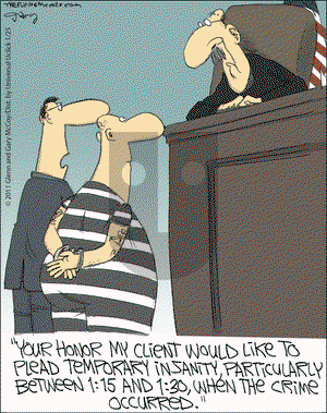 The Flying McCoys on Tuesday January 25, 2011 Comic Strip