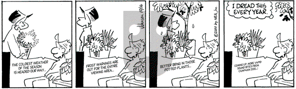 Arlo and Janis on Sunday December 17, 2000 Comic Strip