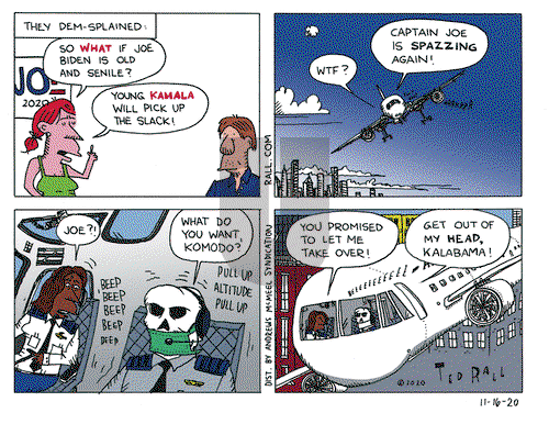 Ted Rall on Monday November 16, 2020 Comic Strip