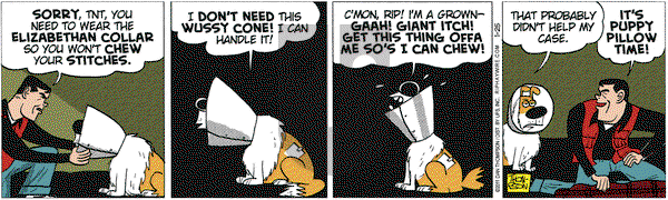 Rip Haywire on Tuesday January 25, 2011 Comic Strip