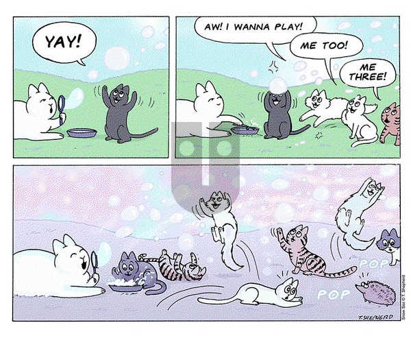 Snow Sez on Monday August 5, 2024 Comic Strip